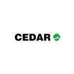 Cedar Audio