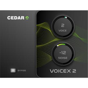 Cedar Audio VoicEX 2