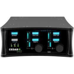 Cedar Audio DNS 2